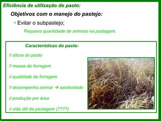 Eficiência de utilização do pasto:
Objetivos com o manejo do pastejo:
• Evitar o subpastejo;
⇑ altura do pasto
⇑ massa de forragem
⇓ qualidade da forragem
⇑ desempenho animal  seletividade
⇓ produção por área
⇓ vida útil da pastagem (????)
Pequena quantidade de animais na pastagem.
Características do pasto:
 