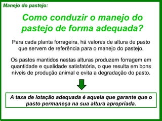 Manejo do pastejo:
Como conduzir o manejo do
pastejo de forma adequada?
Para cada planta forrageira, há valores de altura de pasto
que servem de referência para o manejo do pastejo.
A taxa de lotação adequada é aquela que garante que o
pasto permaneça na sua altura apropriada.
Os pastos mantidos nestas alturas produzem forragem em
quantidade e qualidade satisfatória, o que resulta em bons
níveis de produção animal e evita a degradação do pasto.
 