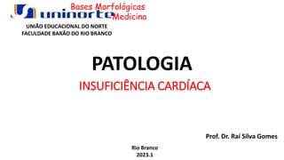 PATOLOGIA
Prof. Dr. Raí Silva Gomes
Rio Branco
2023.1
INSUFICIÊNCIA CARDÍACA
UNIÃO EDUCACIONAL DO NORTE
FACULDADE BARÃO DO RIO BRANCO
Bases Morfológicas
Medicina
 