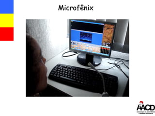 Microfênix 
