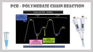 Comprehensive Overview of PCR: Polymerase Chain Reaction Technique and ...