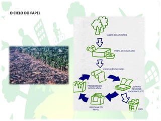 O CICLO DO PAPEL
 