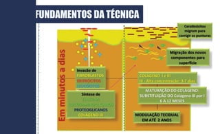 FUNDAMENTOS DA TÉCNICA
 