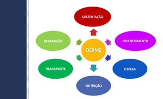 SUSTENTAÇÃO
PREENCHIMENTO
DEFESA
REPARAÇÃO
TRANSPORTE
NUTRIÇÃO
 