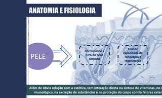 Além de óbvia relação com a estética, tem interação direta na síntese de vitaminas, no s
imunológico, na excreção de substâncias e na proteção do corpo contra fatores extern
ANATOMIA E FISIOLOGIA
PELE
 