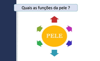 Quais as funções da pele ?
 