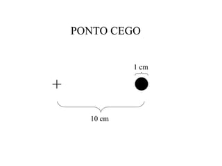 + 10 cm 1 cm PONTO CEGO 