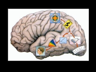 “ Onde” “ O quê” 