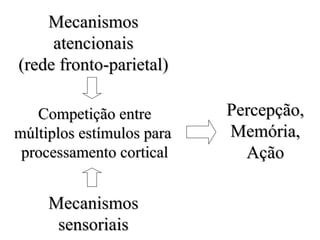 Competição entre múltiplos estímulos para  processamento cortical Mecanismos sensoriais Mecanismos atencionais (rede fronto-parietal) Percepção, Memória, Ação 
