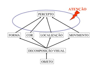 OBJETO DECOMPOSIÇÃO VISUAL COR FORMA LOCALIZAÇÃO MOVIMENTO PERCEPTO ATENÇÃO 