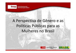 A Perspectiva de Gênero e as
Políticas Públicas para as
Mulheres no Brasil
 