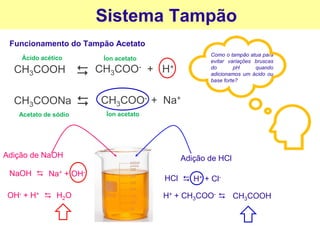 Sistema Tampão
Funcionamento do Tampão Acetato
CH3COOH
CH3COONa
CH3COO- + H+
⮃
CH3COO- + Na+
⮃
Ácido acético
Acetato de sódio Íon acetato
Íon acetato
Como o tampão atua para
evitar variações bruscas
do pH quando
adicionamos um ácido ou
base forte?
Adição de HCl
HCl ⮃ H+ + Cl-
H+ + CH3COO-
⮃
CH3COOH
Adição de NaOH
NaOH
⮃
Na+ + OH-
OH- + H+
⮃
H2O
 