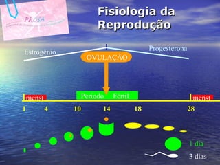 Fisiologia da Reprodução 1 14 28 4 18 10 Período  Fértil menst OVULAÇÃO Estrogênio Progesterona 3 dias 1 dia menst 