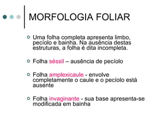 MORFOLOGIA FOLIAR Uma folha completa apresenta limbo, pecíolo e bainha. Na ausência destas estruturas, a folha é dita incompleta.  Folha  séssil  – ausência de pecíolo Folha  amplexicaule  - envolve completamente o caule e o pecíolo está ausente  Folha  invaginante  - sua base apresenta-se modificada em bainha 