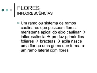 FLORES  INFLORESCÊNCIAS Um ramo ou sistema de ramos caulinares que possuem flores. meristema apical do eixo caulinar    inflorescência    produz primórdios foliares    brácteas    axila nasce uma flor ou uma gema que formará um ramo lateral com flores 