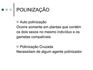 POLINIZAÇÃO Auto polinização Ocorre somente em plantas que contêm os dois sexos no mesmo indivíduo e os gametas compatíveis Polinização Cruzada Necessitam de algum agente polinizador   