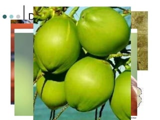 Dispersão da semente Pelo vento Pelos animais Pela água 