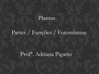 Plantas 
Partes / Funções / Fotossíntese 
Profª. Adriana Pigatto 
 