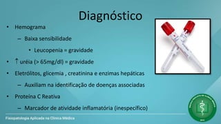 Diagnóstico
• Hemograma
– Baixa sensibilidade
• Leucopenia = gravidade
•  uréia (> 65mg/dl) = gravidade
• Eletrólitos, glicemia , creatinina e enzimas hepáticas
– Auxiliam na identificação de doenças associadas
• Proteína C Reativa
– Marcador de atividade inflamatória (inespecífico)
 