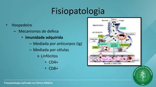 Fisiopatologia
• Hospedeiro
– Mecanismos de defesa
• Imunidade adquirida
– Mediada por anticorpos (Ig)
– Mediada por células
» Linfócitos
• CD4+
• CD8+
 
