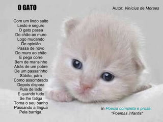 Com um lindo salto Lesto e seguro O gato passa Do chão ao muro Logo mudando De opinião Passa de novo Do muro ao chão E pega corre Bem de mansinho Atrás de um pobre De um passarinho Súbito, pára Como assombrado Depois dispara Pula de lado E quando tudo Se lhe fatiga Toma o seu banho Passando a língua Pela barriga. in  Poesia completa e prosa:  "Poemas infantis" O GATO Autor:  Vinícius de Moraes 