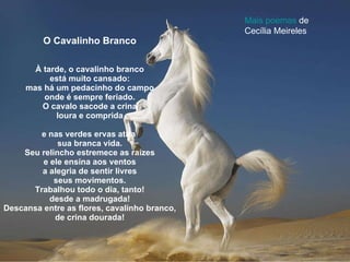 O Cavalinho Branco À tarde, o cavalinho branco está muito cansado: mas há um pedacinho do campo onde é sempre feriado. O cavalo sacode a crina loura e comprida e nas verdes ervas atira  sua branca vida. Seu relincho estremece as raízes e ele ensina aos ventos a alegria de sentir livres seus movimentos. Trabalhou todo o dia, tanto! desde a madrugada! Descansa entre as flores, cavalinho branco, de crina dourada! Mais poemas  de Cecília Meireles 
