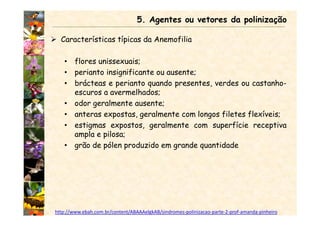Características típicas da Anemofilia
• flores unissexuais;
• perianto insignificante ou ausente;
• brácteas e perianto quando presentes, verdes ou castanho-
escuros a avermelhados;
• odor geralmente ausente;
• anteras expostas, geralmente com longos filetes flexíveis;
• estigmas expostos, geralmente com superfície receptiva
ampla e pilosa;
• grão de pólen produzido em grande quantidade
5. Agentes ou vetores da polinização
http://www.ebah.com.br/content/ABAAAelgkAB/sindromes-polinizacao-parte-2-prof-amanda-pinheiro
 