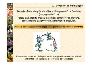 Transferência do grão de pólen até o gametófito feminino
(megagametófito)
Pólen: gametófito masculino (microgametófito) imaturo,
parcialmente desenvolvido, geralmente bicelular.
1. Conceito de Polinização
Plantas com sementes: linhagens evolutivas que não necessitam mais de
ambientes com água para a ocorrência da fecundação.
Objetivo da Polinização: fecundação produção de frutos e sementes
 