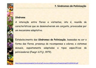 Síndrome
A interação entre flores e visitantes, isto é, reunião de
características que se desenvolveram em conjunto, provocadas por
um mecanismo adaptativo.
Estabelecimento das Síndromes de Polinização, baseadas na cor e
forma das flores, presença de recompensas e odores, e sistemas
sexuais, supostamente adaptadas a tipos específicos de
polinizadores (Faegri & Pijl, 1979).
7. Síndromes de Polinização
http://www.anatomiavegetal.ib.ufu.br/pdf-recursos-didaticos/morfvegetalorgaFECUNDACAO.pdf
 