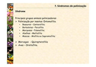 Síndrome
Principais grupos animais polinizadores:
Polinização por insetos: Entomofilia
• Besouros – Cantarofilia;
• Borboletas – Psicofilia
• Mariposas – Falenofilia;
• Abelhas – Melitofilia
• Moscas - Miofilia ou Sapromiofilia;
Morcegos - Quiropterofilia
Aves – Ornitofilia.
7. Síndromes de polinização
 