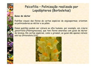 Psicofilia – Polinização realizada por
Lepdópteros (Borboletas)
Guias de néctar
Padrões visuais das flores de certas espécies de angiospermas; orientam
os polinizadores ao néctar e ao pólen.
Esses padrões podem ser visíveis ao olho humano, por exemplo, em Linaria
genistifolia (Plantaginaceae), que tem flores amarelas com guias de néctar
de laranja. Em certas espécies, como o girassol, as guias são apenas visíveis
sob luz ultravioleta (UV).
 