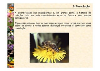 9. Coevolução
A diversificação das angiospermas é, em grande parte, a história de
relações cada vez mais especializadas entre as flores e seus insetos
polinizadores.
O processo pelo qual duas ou mais espécies agem como forças seletivas umas
sobre as outras e todas sofrem mudanças evolutivas é conhecido como
coevolução.
 