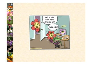 Aula polinização vs