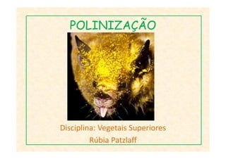 POLINIZAÇÃO
Disciplina: Vegetais Superiores
Rúbia Patzlaff
 