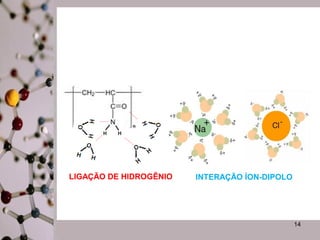 14 
LIGAÇÃO DE HIDROGÊNIO INTERAÇÃO ÍON-DIPOLO 
 