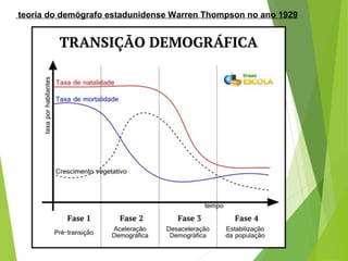 teoria do demógrafo estadunidense Warren Thompson no ano 1929
 