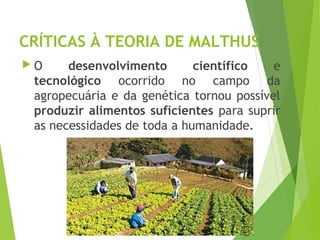 CRÍTICAS À TEORIA DE MALTHUS
 O desenvolvimento científico e
tecnológico ocorrido no campo da
agropecuária e da genética tornou possível
produzir alimentos suficientes para suprir
as necessidades de toda a humanidade.
GEOGRAFIA, 1º ano
Teorias demográficas
 