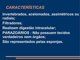 CARACTERÍSTICAS  Invertebrados, acelomados, assimétricos ou radiais; Filtradores; Realizam digestão intracelular; PARAZOÁRIOS : Não possuem tecidos verdadeiros nem órgãos; São representados pelas esponjas. 