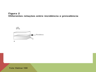 Fonte: Waldman 1998
 