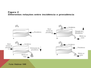 Fonte: Waldman 1998
 