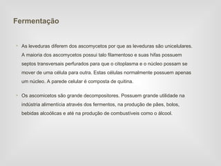Fermentação


• As leveduras diferem dos ascomycetos por que as leveduras são unicelulares.
  A maioria dos ascomycetos possui talo filamentoso e suas hifas possuem
  septos transversais perfurados para que o citoplasma e o núcleo possam se
  mover de uma célula para outra. Estas células normalmente possuem apenas
  um núcleo. A parede celular é composta de quitina.

• Os ascomicetos são grande decompositores. Possuem grande utilidade na
  indústria alimentícia através dos fermentos, na produção de pães, bolos,
  bebidas alcoólicas e até na produção de combustíveis como o álcool.
 