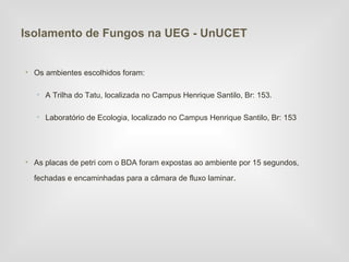 Isolamento de Fungos na UEG - UnUCET


• Os ambientes escolhidos foram:

   • A Trilha do Tatu, localizada no Campus Henrique Santilo, Br: 153.

   • Laboratório de Ecologia, localizado no Campus Henrique Santilo, Br: 153




• As placas de petri com o BDA foram expostas ao ambiente por 15 segundos,

  fechadas e encaminhadas para a câmara de fluxo laminar.
 