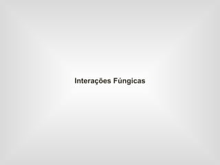 Interações Fúngicas
 