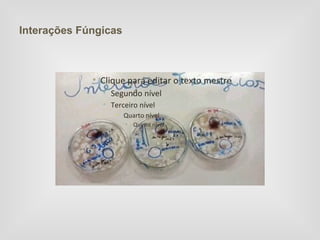 Interações Fúngicas



             • Clique para editar o texto mestre
               • Segundo nível
               • Terceiro nível
                  • Quarto nível
                      • Quinto nível
 