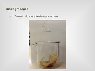 Biodegradação

  • 1º Substrato, algumas gotas de água e tampado;
 