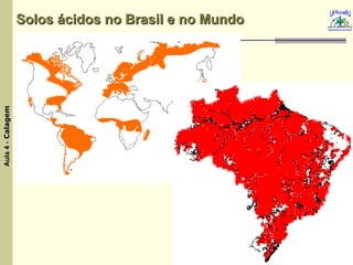 Solos ácidos no Brasil e no Mundo   