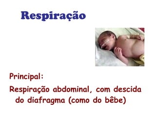 Respiração 
Principal: 
Respiração abdominal, com descida 
do diafragma (como do bêbe) 
 