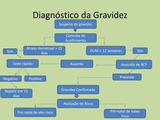 Diagnóstico da Gravidez
Suspeita de gravidez
Consulta de
Acolhimento
DUM > 12 semanas
Sim
Positivo
Teste rápido
Atraso menstrual > 15
dias
Ausente
Negativo
Repetir em 15
dias
Sim
Pré-natal de alto risco Pré-natal de baixo
risco
Avaliação de Risco
Ausculta de BCF
Gravidez Confirmada
Presente
 