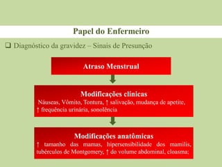 Papel do Enfermeiro
Atraso Menstrual
Modificações clínicas
Náuseas, Vômito, Tontura, ↑ salivação, mudança de apetite,
↑ frequência urinária, sonolência
Modificações anatômicas
↑ tamanho das mamas, hipersensibilidade dos mamilis,
tubérculos de Montgomery, ↑ do volume abdominal, cloasma;
 Diagnóstico da gravidez – Sinais de Presunção
 