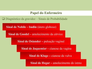 Papel do Enfermeiro
Sinal de Nobile – budin (útero globoso)
 Diagnóstico da gravidez – Sinais de Probabilidade
Sinal de Goodel – amolecimento da cérvice
Sinal de Osiander – pulsação vaginal
Sinal de Jaquemier – cianose da vagina
Sinal de Kluge – cianose da vulva
Sinal de Hegar – amolecimento do istmo
 